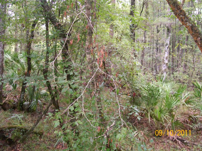 2011-Sep-10_HGR4X4_RichloamBB 046